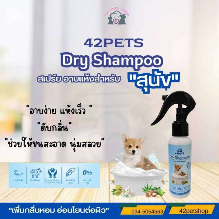 42pets-drgshampoo-แชมพูอาบแห้ง-สุนัข-น้องแมว-กระต่าย-100ml-250mi