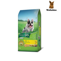 Dog n Joy ด็อก เอ็นจอย อาหารสุนัขสูตรเจ สำหรับสุนัขโต (10KG.)