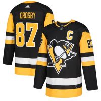 Pittsburgh Penguins NHL hockey league jersey Penguins 87 Crosby embroidery training uniforms