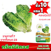 (ซื้อ10แถม1 ฟรีคู่มือ) เมล็ดพันธุ์ กรีนมินิคอส GREEN MINICOS  (0.2 กรัม 200 เมล็ด) เบบี้คอส ทำมะชาดฟาร์ม ผักสลัด เมล็ดพันธุ์สลัด เมล็ดสลัด