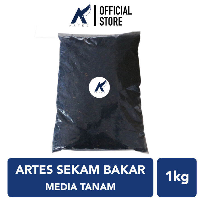 Artes Sekam Kulit Gabah Padi Arang Bakar Media Tanam Organik Tanaman