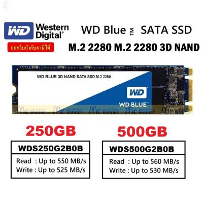 ลด 50% (พร้อมส่ง)แรงส์ 6.6250GB | 500GB SSD (เอสเอสดี) WD BLUE SATA M.2 2280 3D NAND ประกัน 5 ปี(ขายดี)