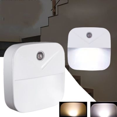 LED Night Light EU Plug Sensor Night Lamp With Light Sense Automatically Switch On Or Off For Baby Bedroom Bedside Decoration