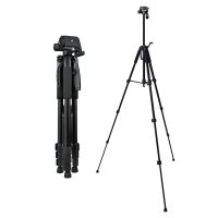 ขาตั้งกล้อง Gadgetverse GV9180 Tripod For Photo and Video Black วัสดุอลูมิเนียม ขาตั้งมือถือ ปรับความสูงได้