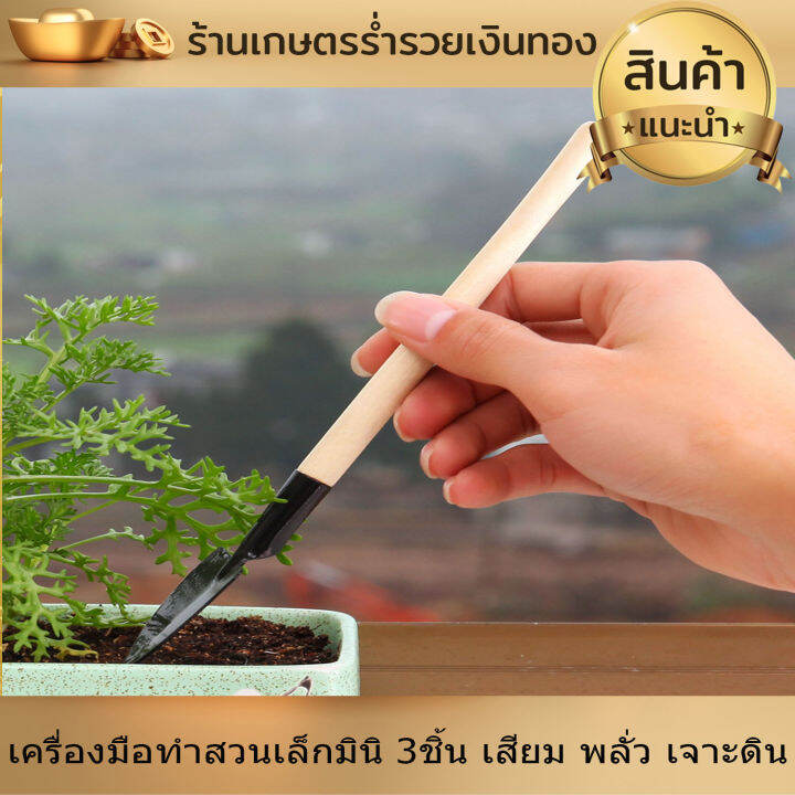 อุปกรณ์ทำสวน-ชุดตักดิน-พรวนดิน-เครื่องมือทำสวน-ขนาดเล็กมินิ-3ชิ้น-ทำสวนจิ๋ว-คลาด-เสียม-พลั่ว-เจาะดิน-ตักดิน-พรวนดิน-ขนาดพกพา-ทนทาน