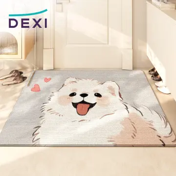 DEXI Indoor Doormat, Non Slip Absorbent Resist Dirt Entrance Rug