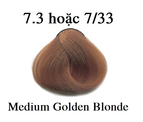 Thuốc Nhuộm Tóc Màu Nâu Vàng Cánh Dán 7/3 Medium Golden Blonde ...
