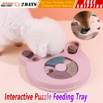 Anti-Choking Interactive Puzzle Toy for Slow Dispensing Feeding