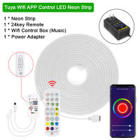 RGB Led Strip Light 12V Neon Light RGB With IR Remote Buletooth WiFi Smart Controller Waterproof Decor Lighting Music Strip