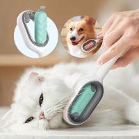 Double Sided Hair Removal Brushes for Cat Dog Pet Grooming Comb with Water tank clean and remove hair and massage Brushes  Combs