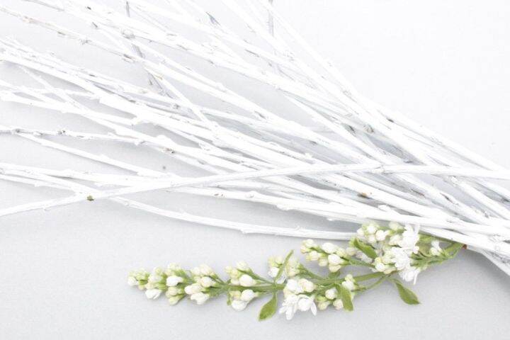 willow-dry-branch-กิ่งไม้แห้ง-ประดับ-ตกแต่งบ้าน-ภายใน-ขนาด-150-เซนติเมตร-สั่งขั้นต่ำ-5-กิ่ง-order-minimum-5-pcs-สินค้าราคาต่อกิ่ง-price-pcs