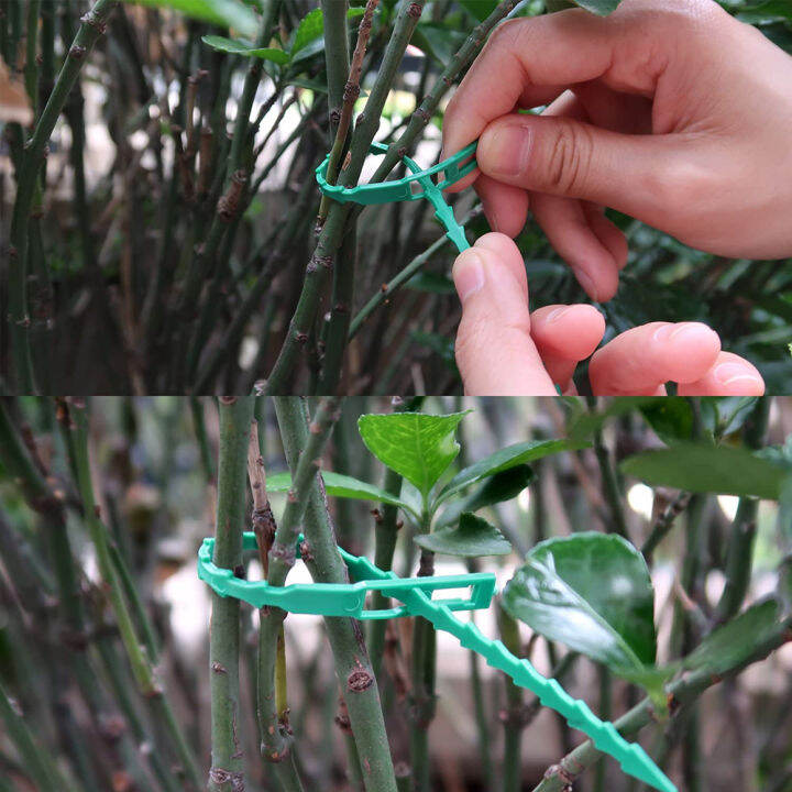 100pcs-13-17-22cm-adjustable-plastic-plant-cable-ties-reusable-shrub-fastener-for-garden-tree-climbing-support-vine-tomato-stem-clip