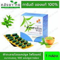 Phyto Care ฟ้าทะลายโจรแคปซูล 350 mg. ไฟโตแคร์ GPO  10x10 แคปซูล