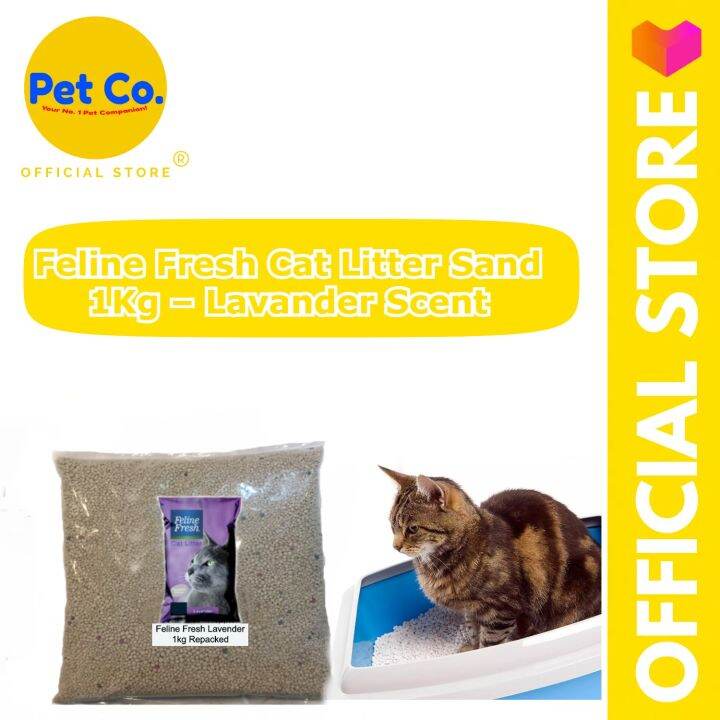 Feline Fresh Cat Litter Sand 1Kg Lavander Scent Lazada PH