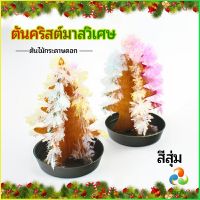 Harper ต้นคริสต์มาสวิเศษ ต้นไม้กระดาษดอก ของขวัญแสนสนุก  magical christmas tree