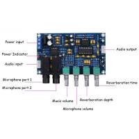 บอร์ดขยายเสียงไมโครโฟน reverberation board XH-M173 ไมโครโฟน amplification board ร้องเพลง amplification board