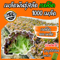 (เเถมปุ๋ย) เมล็ดพันธุ์ผักสลัด เรดโอ๊ค 1000เมล็ด อัตราการงอก95% เมล็ดพันธุ์ ผักสลัด เมล็ดผัก เมล็ดผักสลัด พันธุ์พืช พันธุ์ผักสวนครัว