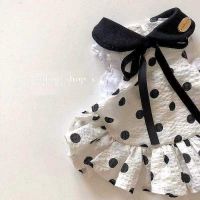 2023 New Fashion version Spring/Summer Bichon Pomeranian cute polka-dot skirt puppy Teddy cat pet dog clothes small dog summer