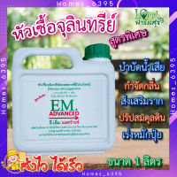 EM ADVANCED ( สูตรพิเศษ ) ? หัวเชื้อจุลินทรีย์ย่อยสลายที่มีประโยชน์ ขนาดบรรจุ 1 ลิตร   หัวเชื้อจุลินทรีย์