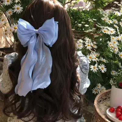 Unique Hair Clip Design Elegant Hair Accessory Holiday Party Hair Decoration Spring Clip Headpiece Big Bow Headwear