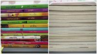 หนังสือ นิยายมือสอง สถาพร