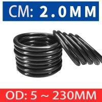 ☑☏▦ 100-10pcs Black O Ring Gasket CS 2mm OD 5 230mm NBR Automobile Nitrile Rubber Round O Type Corrosion Oil Resistant Seal Washer