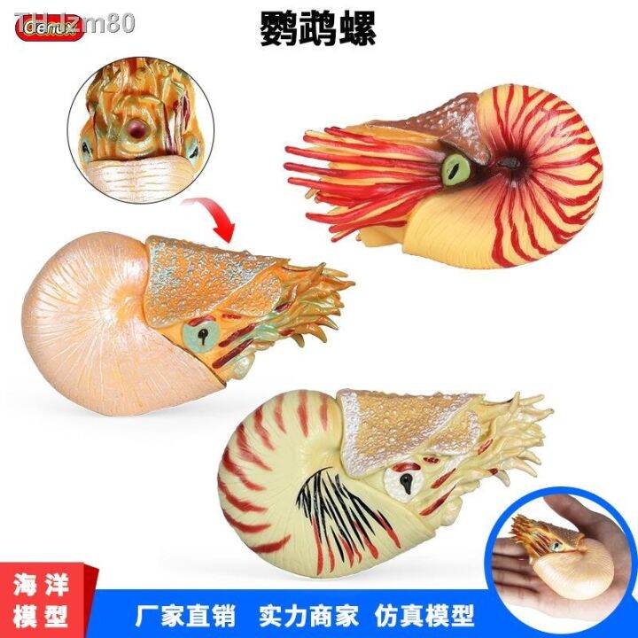 ของขวัญ-simulation-model-of-marine-animal-toys-children-ancient-biological-nautilus-conch-aquarium-scenes-furnishing-articles