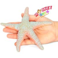 Monkey Toys - โมเดลสัตว์ Starfish ปลาดาว เทา ขนาด 16.00 CM (จากหาดใหญ่)