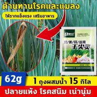 ?1 ถุงผสมน้ำ 15 กิโล?Hydra ปุ๋ยบำรุงต้นใบ ปุ๋ยน้ำทางใบ 62g โรคสนิม ราสีเทาบอทริติส ปลายแห้ง เน่านุ่ม ต้านทานโรคและแมลง ให้รากแข็งแรง ปุ๋ยละลายน้ำกรดอะมิโน เสริมอาหาร ปุ๋ยเร่งโตเร็ว ปุ๋ยเกล็ดทางใบ ฮอร์โมนทางใบ ปุ๋ยทางใบ แคลเซียมโบรอน ปุ๋ยเร่งรากใบ