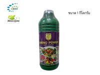 Amino Power(สารอาหารสำหรับพืช)