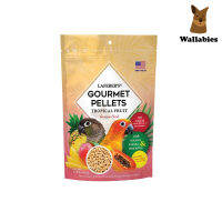 Lafeber Conure Tropical Fruit Gourmet Pellets (567g.) อาหารนกคอนัวร์ผสมผลไม้เขตร้อนพรีเมี่ยมออร์แกนิคโดยสัตวแพทย์