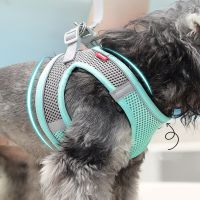 Dog Clothes Vest Chest Cat Collars Rope Small Dogs Reflective Breathable Adjustable Outdoor Walking Pet Supplies Leashes