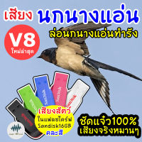 เสียงต่อนกนางแอ่นV8 (เสียงนอกดึงนก) เมม/แฟลชไดร์ฟเสียงเรียกนกแอ่นทำรัง มีเก็บเงินปลายทาง ชัดแจ๋วเข้าไว100%ไม่มีโฆษณาแทรก MP3เสียงเรียกนก