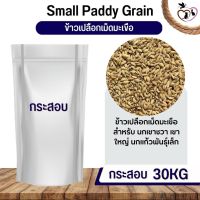 ข้าวเปลือกมะเขือ Small Paddy Grian อาหารนก กระต่าย หนู กระต่าย กระรอก ชูก้า และสัตว์ฟันแทะ (กระสอบ 30KG)