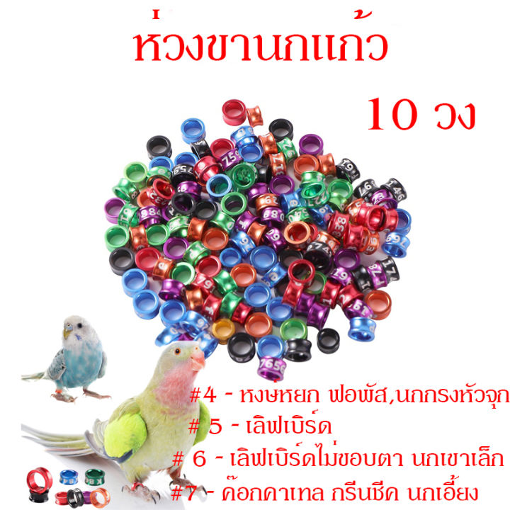 ราคาถูกสุด-ห่วงขานก-ห่วงขานกแก้ว-ห่วงขานก-ห่วงเปิดคล้องขานก-ทำจากอลูมิดนียมน้ำหนักเบา-คละสี-10-ชิ้น-3-4-5-6-7-8-มม