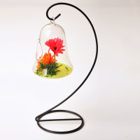 1Set Transparent Glass Vase Creative Bell Fruit Bulb Shape Hydroponic Plant Flowerpot Flower Arrangement Bonsai Home Decor Gifts