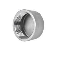 1/8" 1/4" 3/8" 1/2" 3/4" 1" 1-1/2" 2" 3" 4" BSP NPT Female Round End Cap 201 304 316 Stainless Steel Pipe Fitting Water Gas Oil Pipe Fittings Accessor