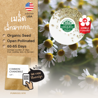 1แถม1 เมล็ดดอกไม้นำเข้า คาโมมายล์ Chamomile (Organic Seed) สมุนไพร ดอกไม้กินได้ ชงดื่ม