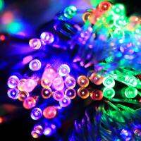 SmartPhonemall 3m(Length) x 2m(Height) LED Decoration Light, 200 LEDs Reticular String Light with End Joint &amp; Multi-function Controller, EU Plug, AC 220V