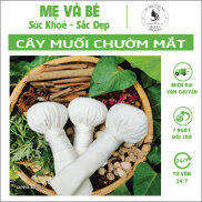 Cây muối chườm mắt, Túi chườm nóng, Cây muối chườm mắt sau sinh