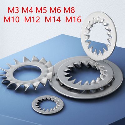 50Pcs M3 M4 M5 M6 M8 M10 M12 M14 M16 304 Stainless Steel External Toothed Serrated Lock Washer Shakeproof Star Gasket