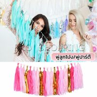 Pro กระดาษพู่ สำหรับห้อยตกแต่งปาร์ตี้ 5 ชิ้น Party supplies