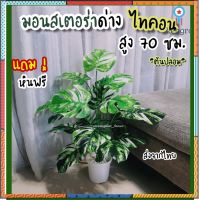 ต้นมอนสเตร่าด่าง สวย เนียนเหมือนจริง / **ต้นไม้ปลอม** พร้อมกระถาง /ต้นสูง 70cm flashsale ลดกระหน่ำ