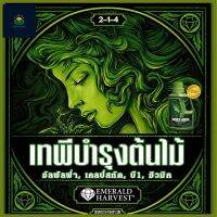 Emerald Goddess ปุ๋ยฮิวมิคเสริมบำรุงต้นไม้สารพัดประโยชน์ ฮอร์โมนเร่งการเจริญเติบ+วิตามินบีรวม