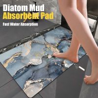 【PPQ Home Life Museum】 45X70Cm Diatom Mud Pad Quick Dry Bathroom Absorbent Floor Mat Bathroom Toilet Door Mat Door Carpet Non-Slip Toilet Foot Mat