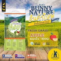 ❗️❗️ SALE ❗️❗️ Bunny nature fresh grass รสแอปเปิ้ล 500g. รสชาติขายดีที่สุด  หญ้ากระต่าย อาหารกระต่าย ผสม 18 ชนิด !! อาหารสัตว์เลี้ยงขนาดเล็ก Small Pet Food มาตรฐาน โค้งสุดท้าย บริการเก็บเงินปลายทาง ราคาถูก คุณภาพดี โปรดอ่านรายละเอียดก่อนสั่ง