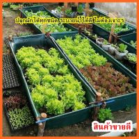 แปลงปลูกต้นไม้ ปลูกผัก กะบะปลูกผัก กะบะปลูกต้นไม้ ขนาด 65x200x30 ซม. พร้อมส่ง