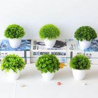 【AG】Energetic Artificial Bonsai Vivid Non-fading Greening Table Centerpieces Imitation Office