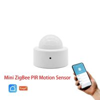 PEACHAN เซ็นเซอร์ตรวจจับการเคลื่อนไหว PIR เคลื่อนไหวร่างกาย Zigbee ไร้สายเซ็นเซอร์ร่างกายมนุษย์ชีวิตสมาร์ททำงานร่วมกับ Alexa Google เซ็นเซอร์อัจฉริยะ