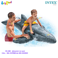 Intex  แพยาง เป่าลม ปลาวาฬ รุ่น 57530